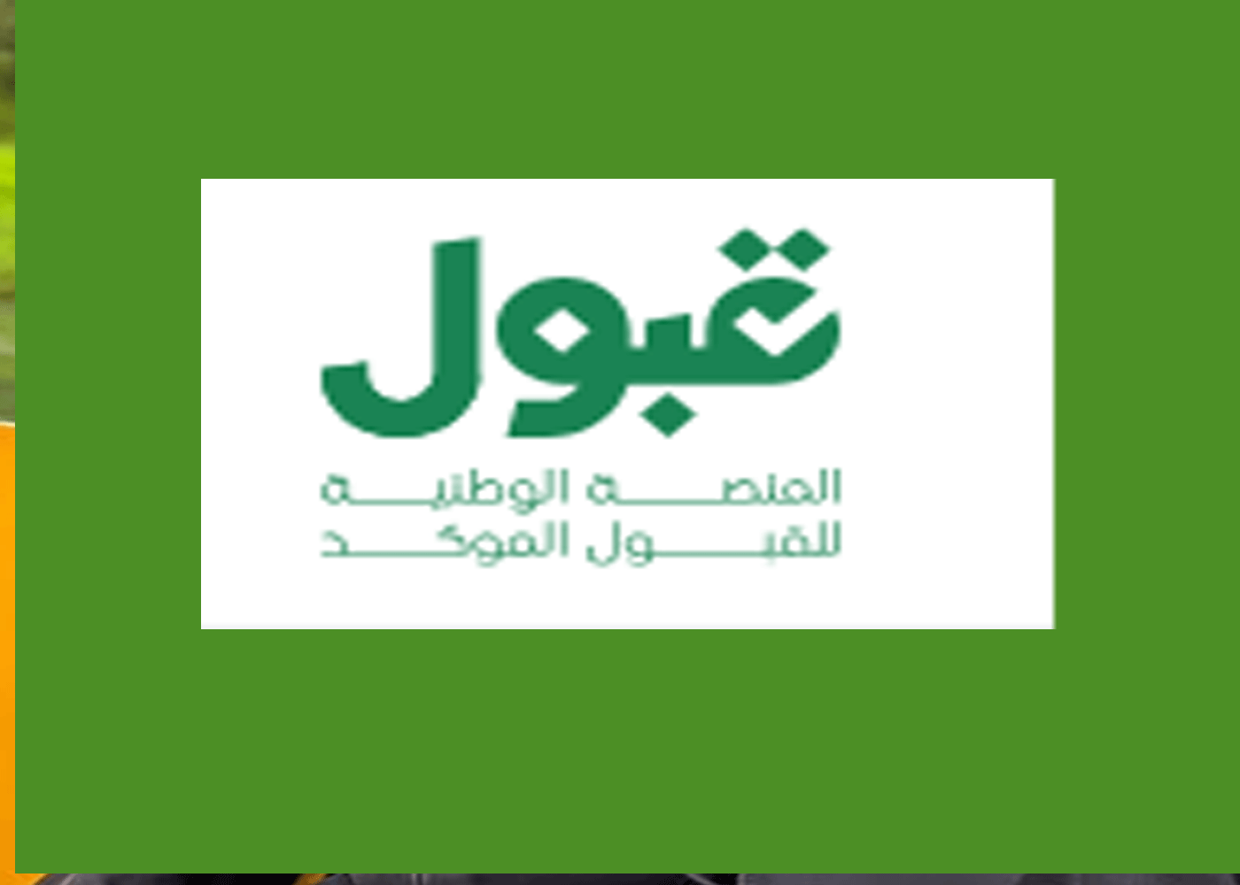 نتائج القبول بالجامعات