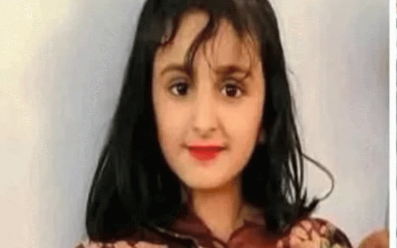انهار العامري