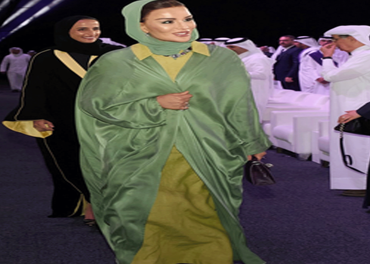 الشيخة موزا زوجة الشيخ حمد بن خليفة و عدد أولادها و كم عمرها وكل شيء عنها 3 زوجة الشيخ حمد بن خليفة
