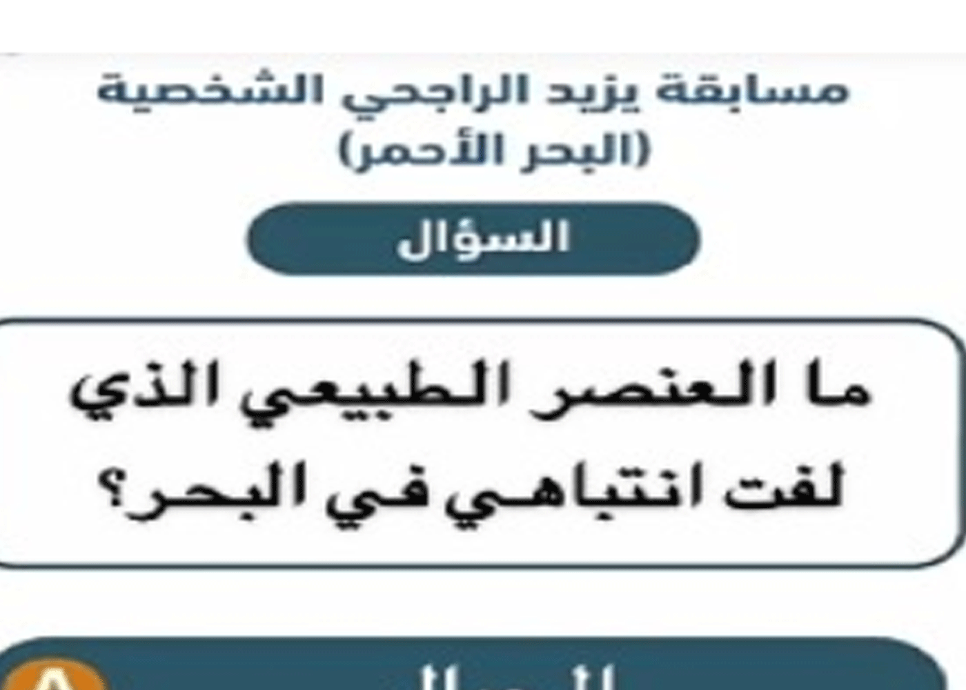 ما هو العنصر الطبيعي الذي لفت انتباهي في البحر؟ حل سؤال يزيد الراجحي