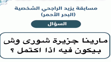مارينا جزيرة شوري
